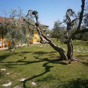 La Grande Quercia Alloggio per agriturismo Capalbio