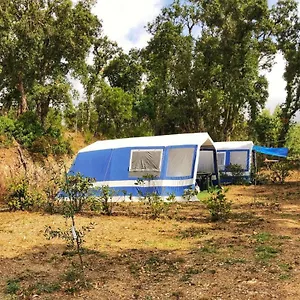 Camping Le Venelle Campeggio Rio Marina